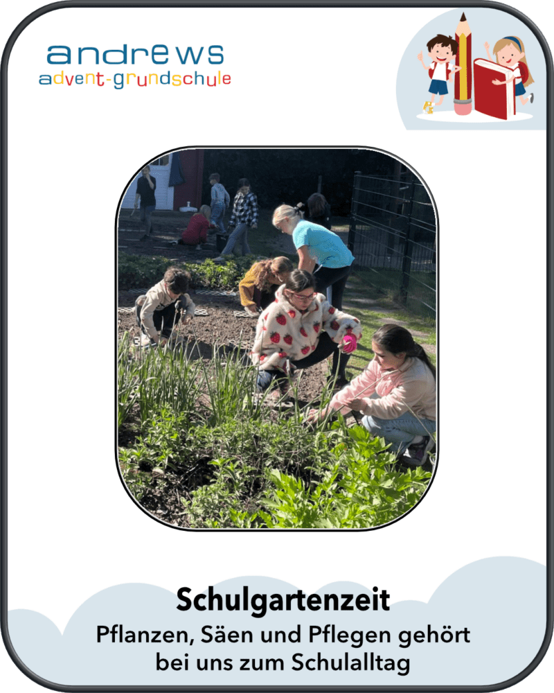 Schulgartenzeit Pflanzen, Säen und Pflegen gehört bei uns zum Schulalltag